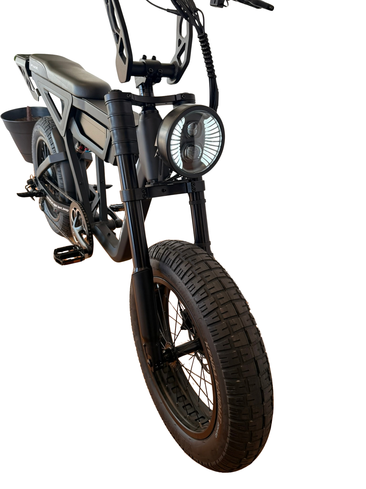 THE WILD ONE