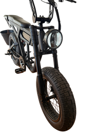 THE WILD ONE