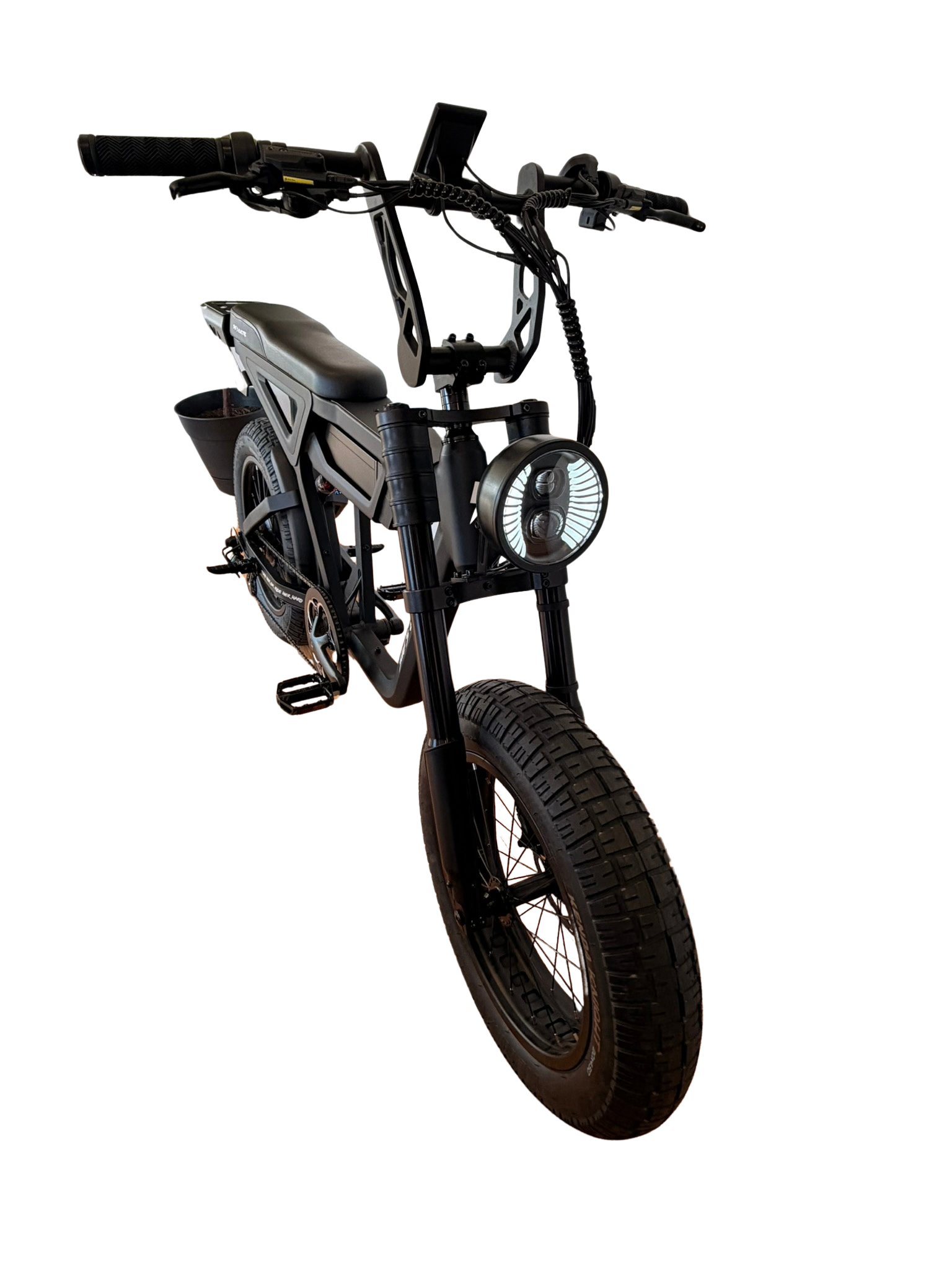 THE WILD ONE