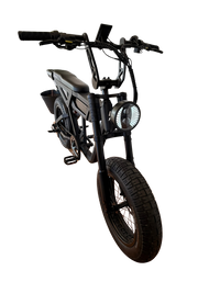 THE WILD ONE