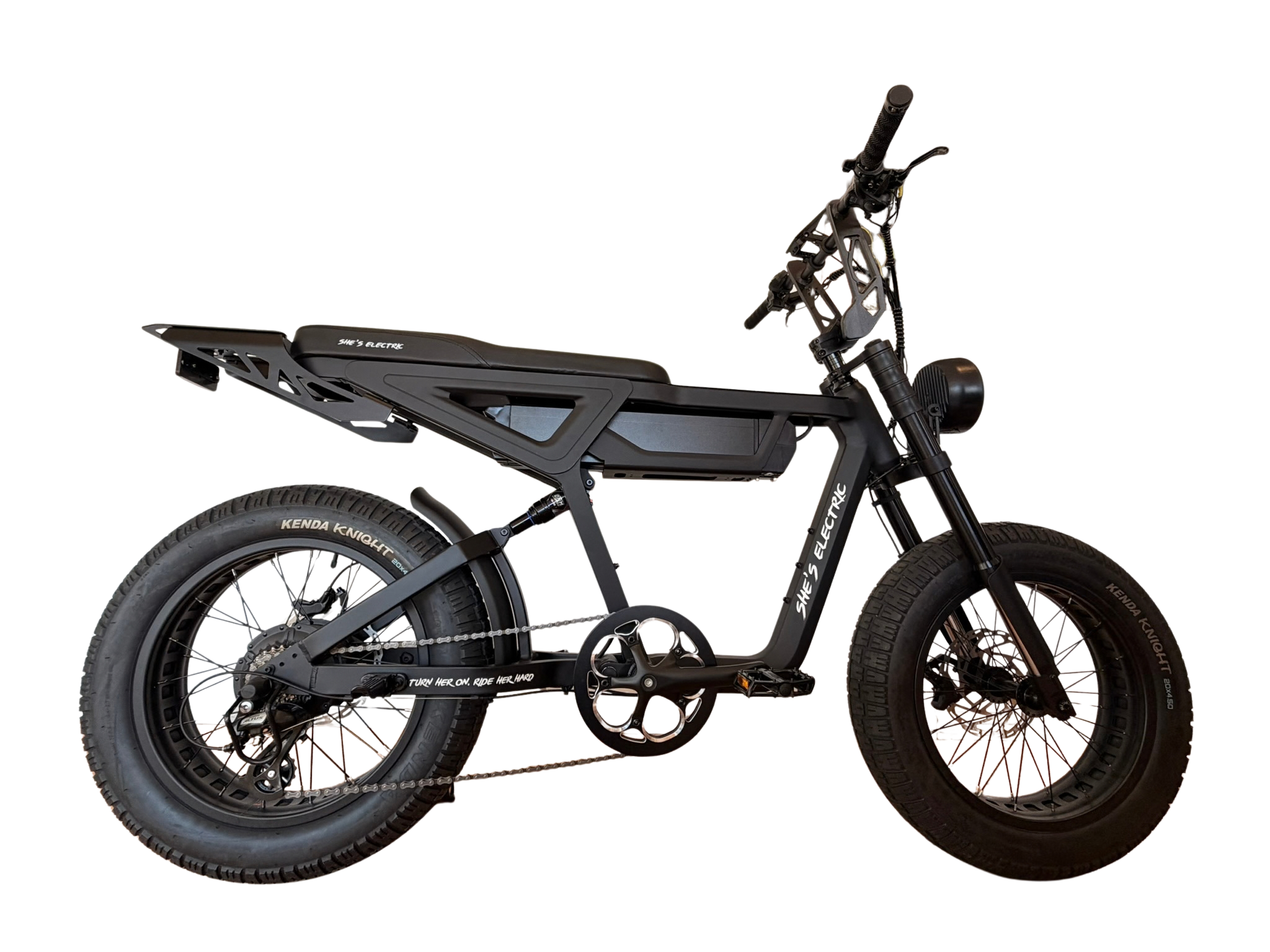 THE WILD ONE