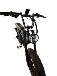 THE WILD ONE