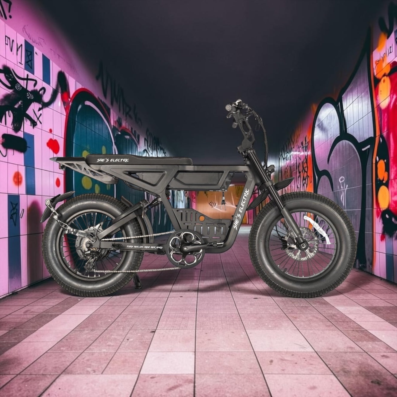 THE WILD ONE